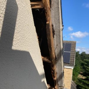 roofline double glazing Suffolk